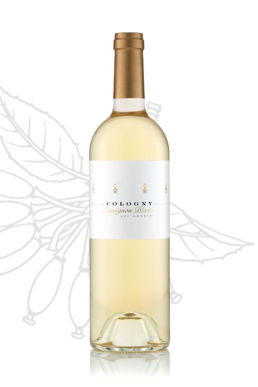 Sauvignon Blanc - Domaine de la Vigne Blanche