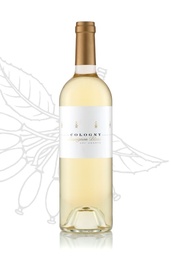 Sauvignon Blanc - Domaine de la Vigne Blanche